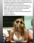 {$title}