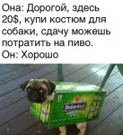 {$title}
