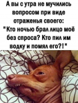{$title}