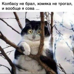 {$title}