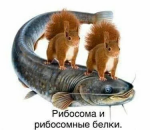 {$title}