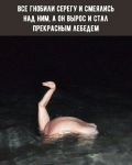 {$title}