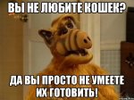 {$title}