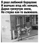 {$title}
