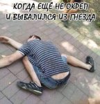 {$title}