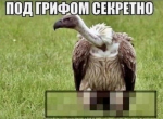 {$title}