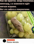 {$title}