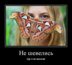 {$title}