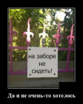 {$title}