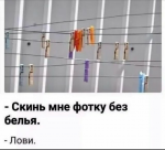 {$title}