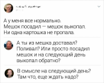 {$title}