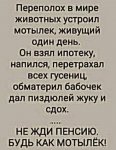 {$title}