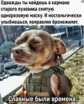 {$title}