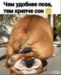 {$title}