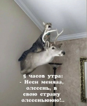 {$title}