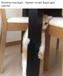 {$title}