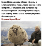 {$title}