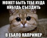 {$title}