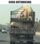 {$title}