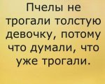 {$title}