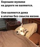 {$title}