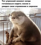 {$title}