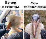 {$title}