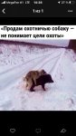 {$title}