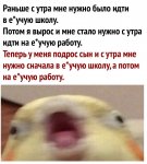 {$title}