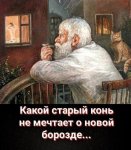 {$title}