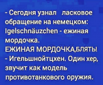 {$title}