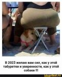 {$title}