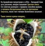 {$title}