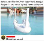 {$title}