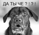 {$title}
