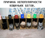 {$title}