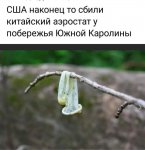 {$title}