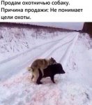 {$title}