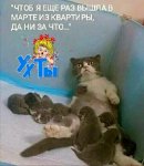 {$title}