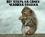 {$title}
