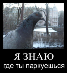 {$title}