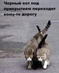 {$title}