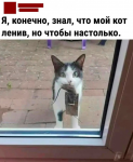 {$title}