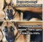 {$title}