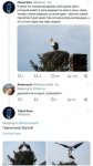 {$title}