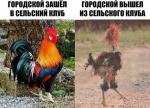 {$title}