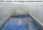 {$title}