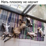 {$title}
