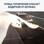 {$title}