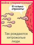 {$title}